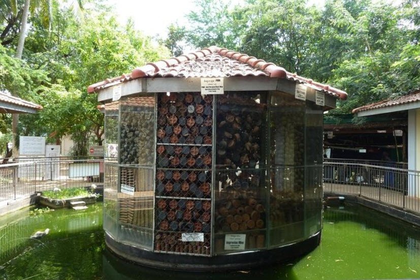 Cambodia Landmine Museum, Cambodia